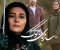 سازهای+ناکوک