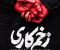 زخم کاری۱۵
